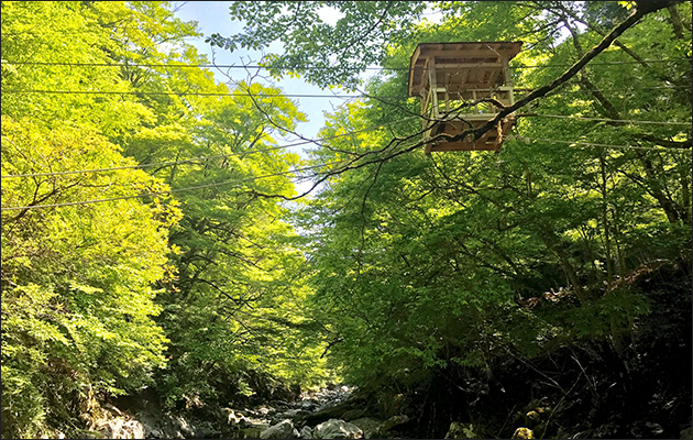 自然体験ツアー/in徳島 自然体験ツアー/in徳島